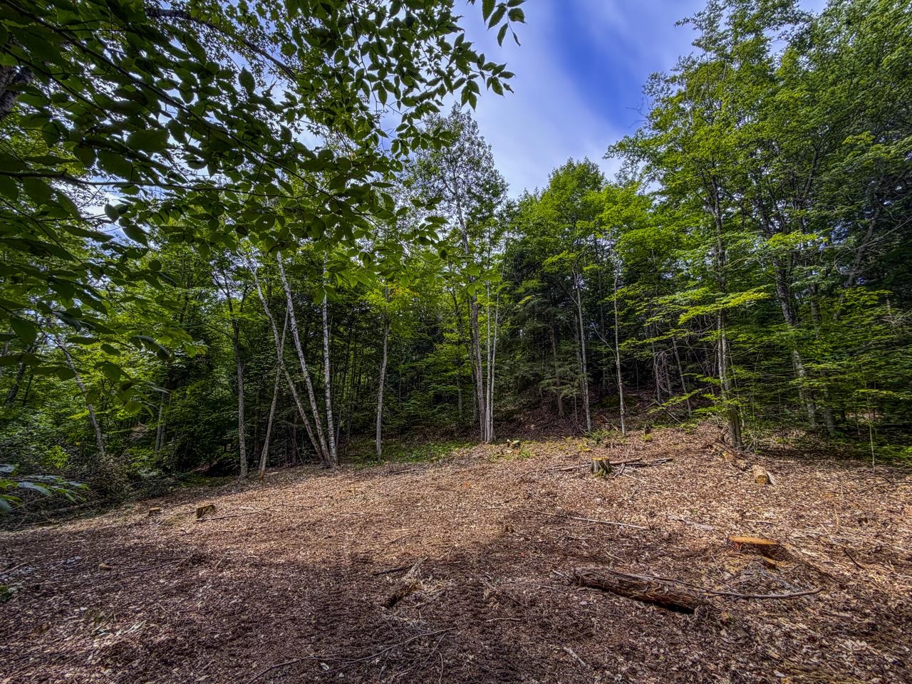 Tbd Taylor Road Property Photo 8