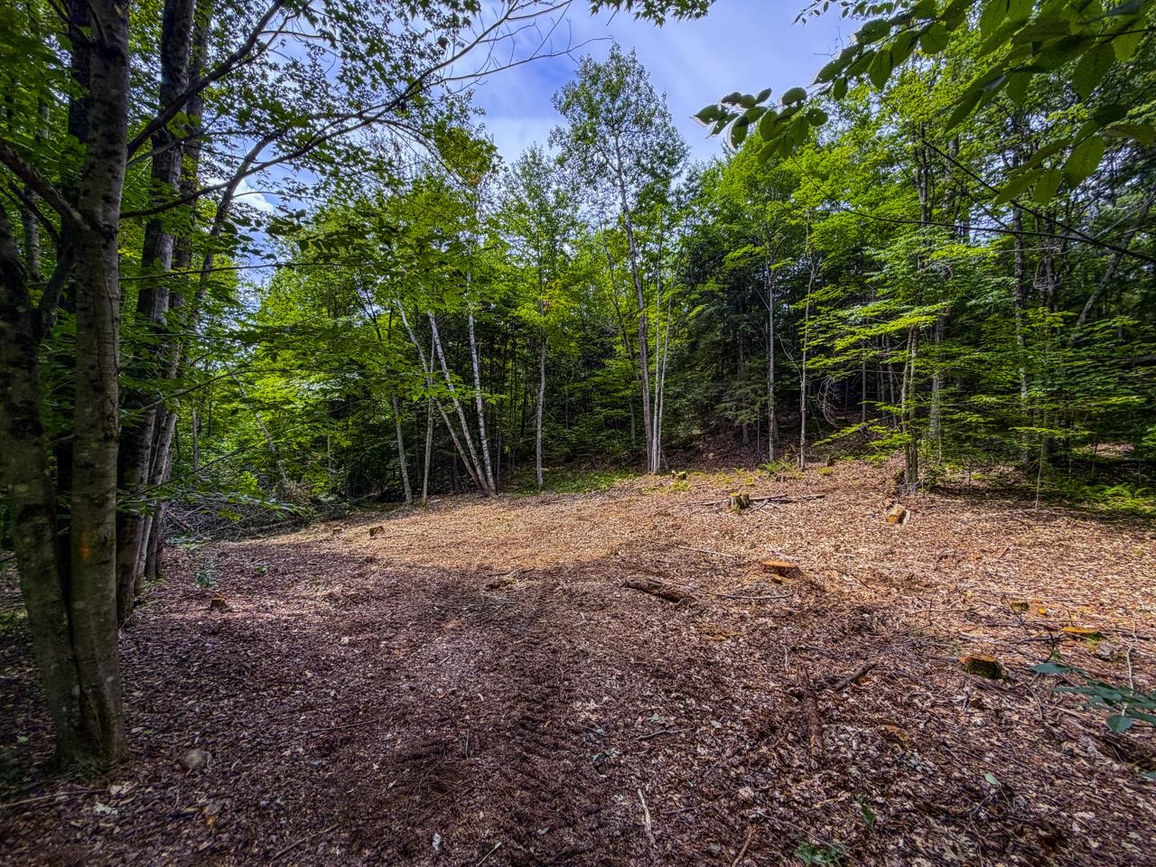 Tbd Taylor Road Property Photo 9