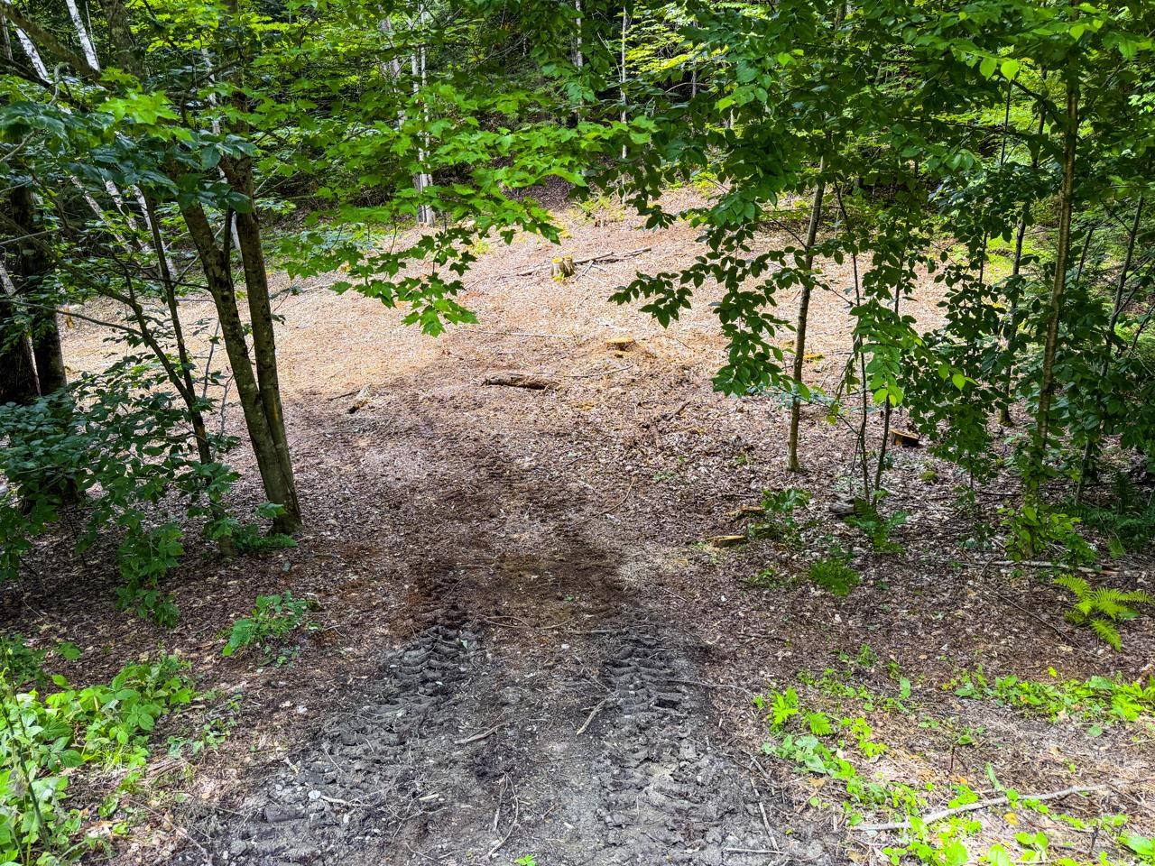 Tbd Taylor Road Property Photo 10