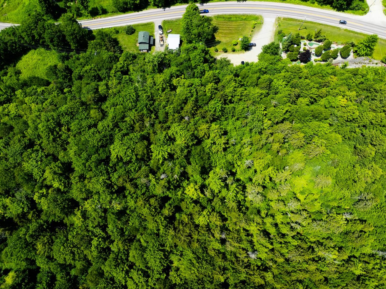 Tbd Taylor Road Property Photo 16