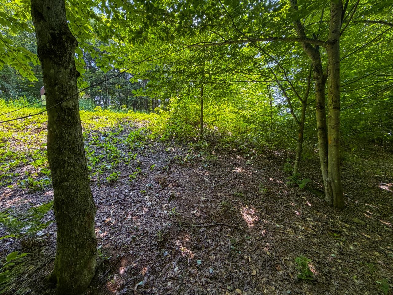 Tbd Taylor Road Property Photo 23