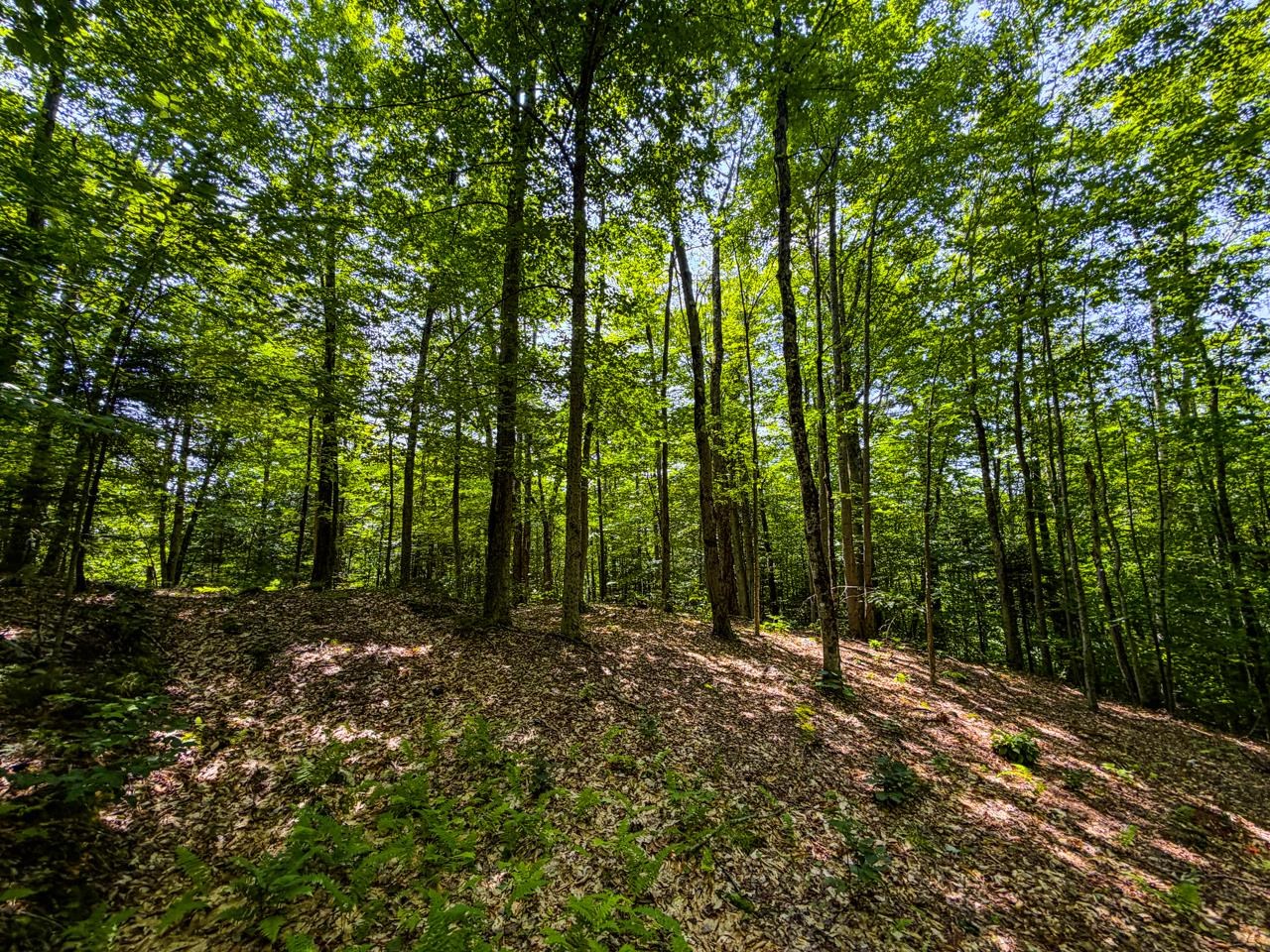 Tbd Taylor Road Property Photo 24