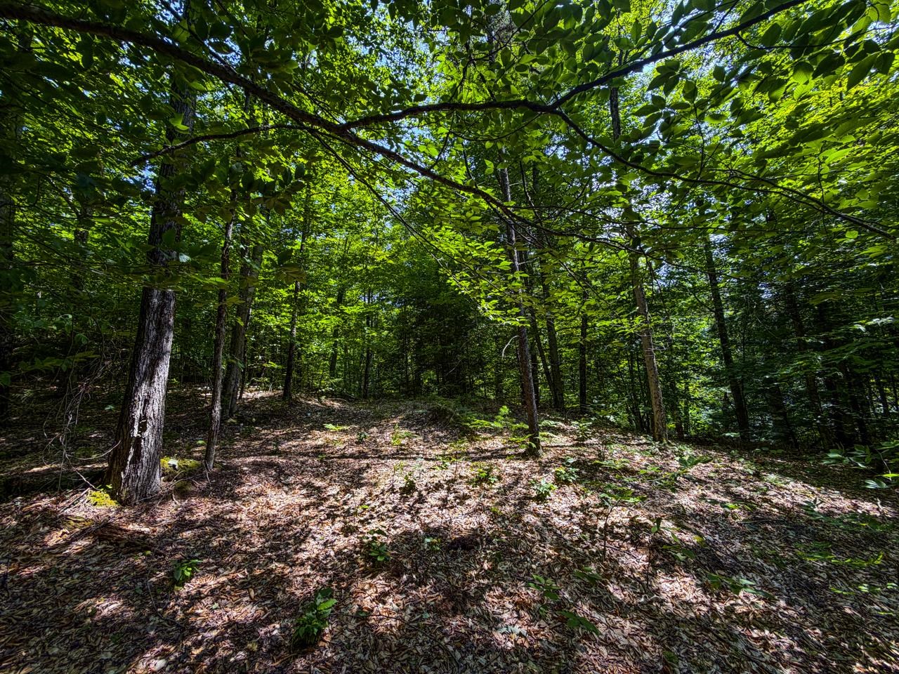Tbd Taylor Road Property Photo 25