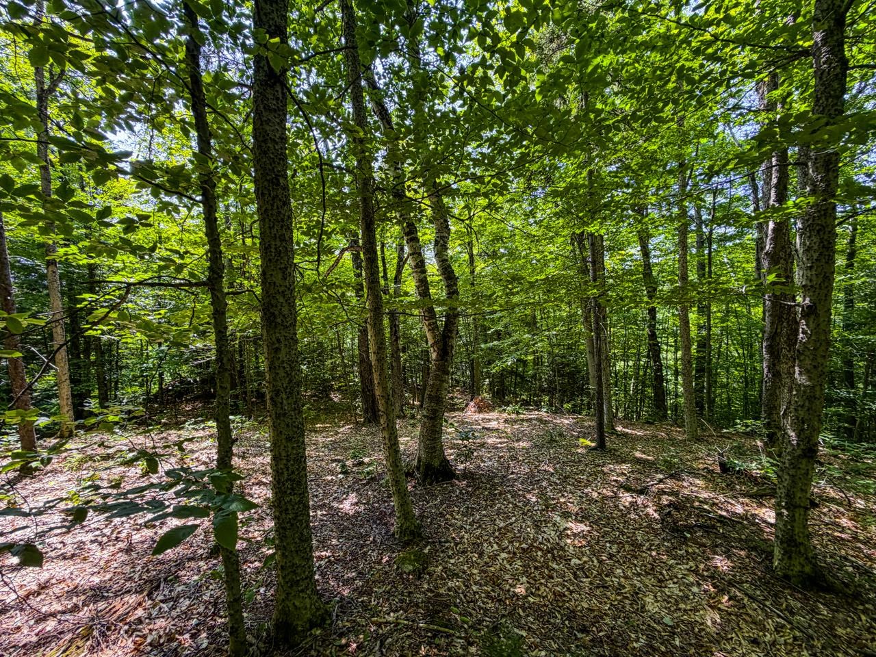 Tbd Taylor Road Property Photo 26