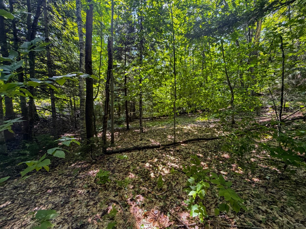 Tbd Taylor Road Property Photo 27