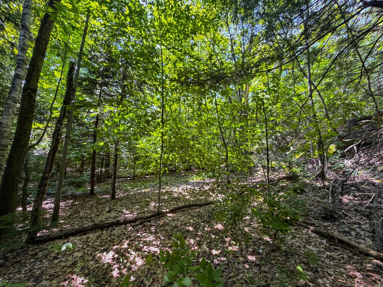 Tbd Taylor Road Property Photo 28
