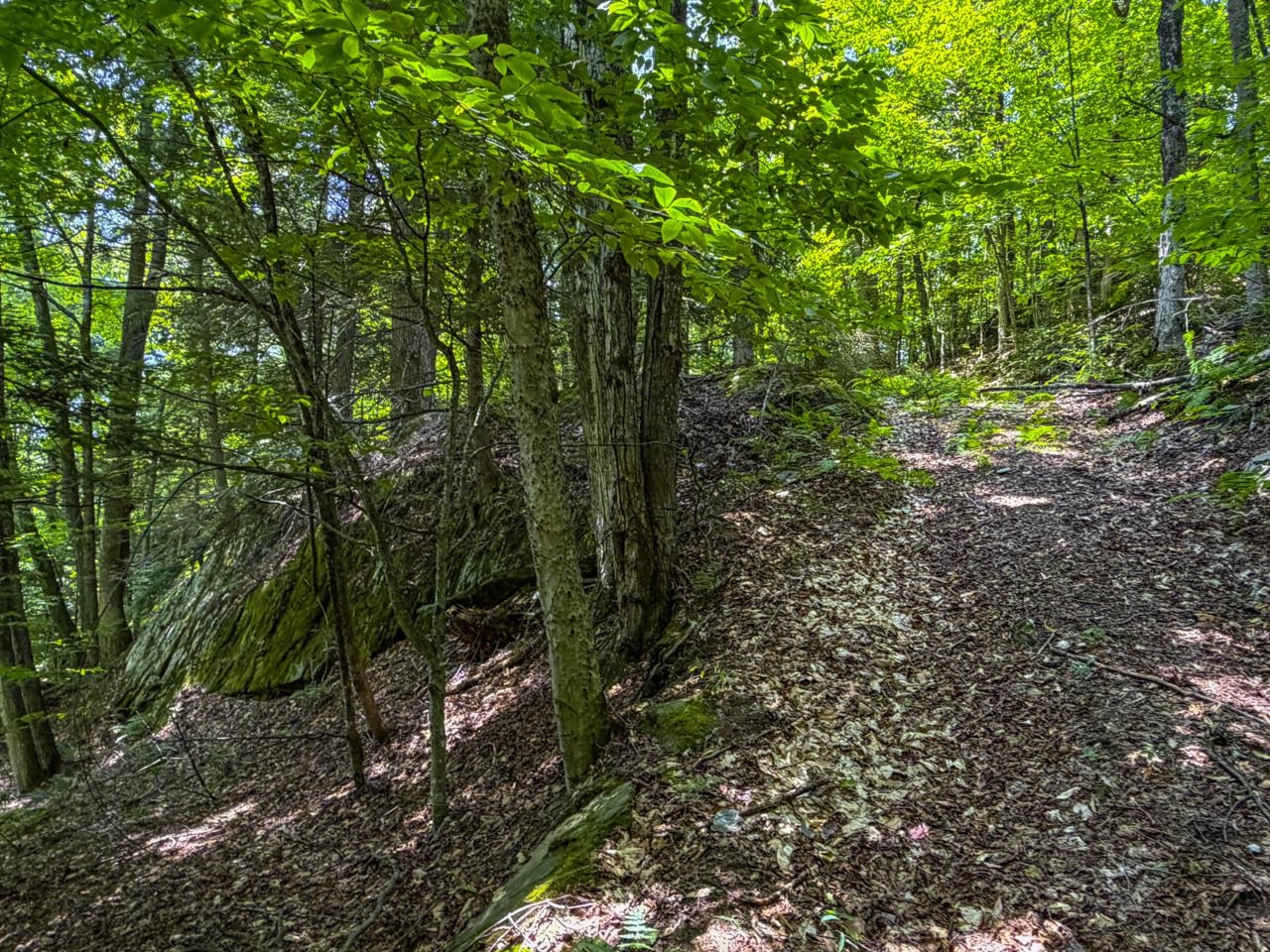 Tbd Taylor Road Property Photo 29