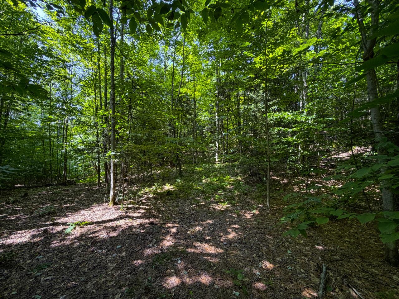 Tbd Taylor Road Property Photo 30