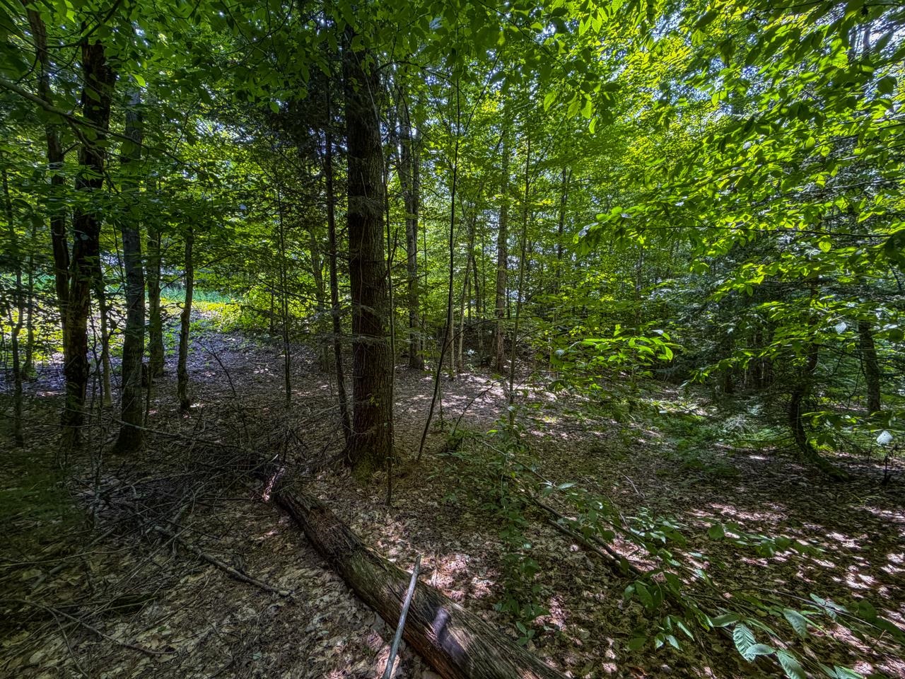 Tbd Taylor Road Property Photo 31