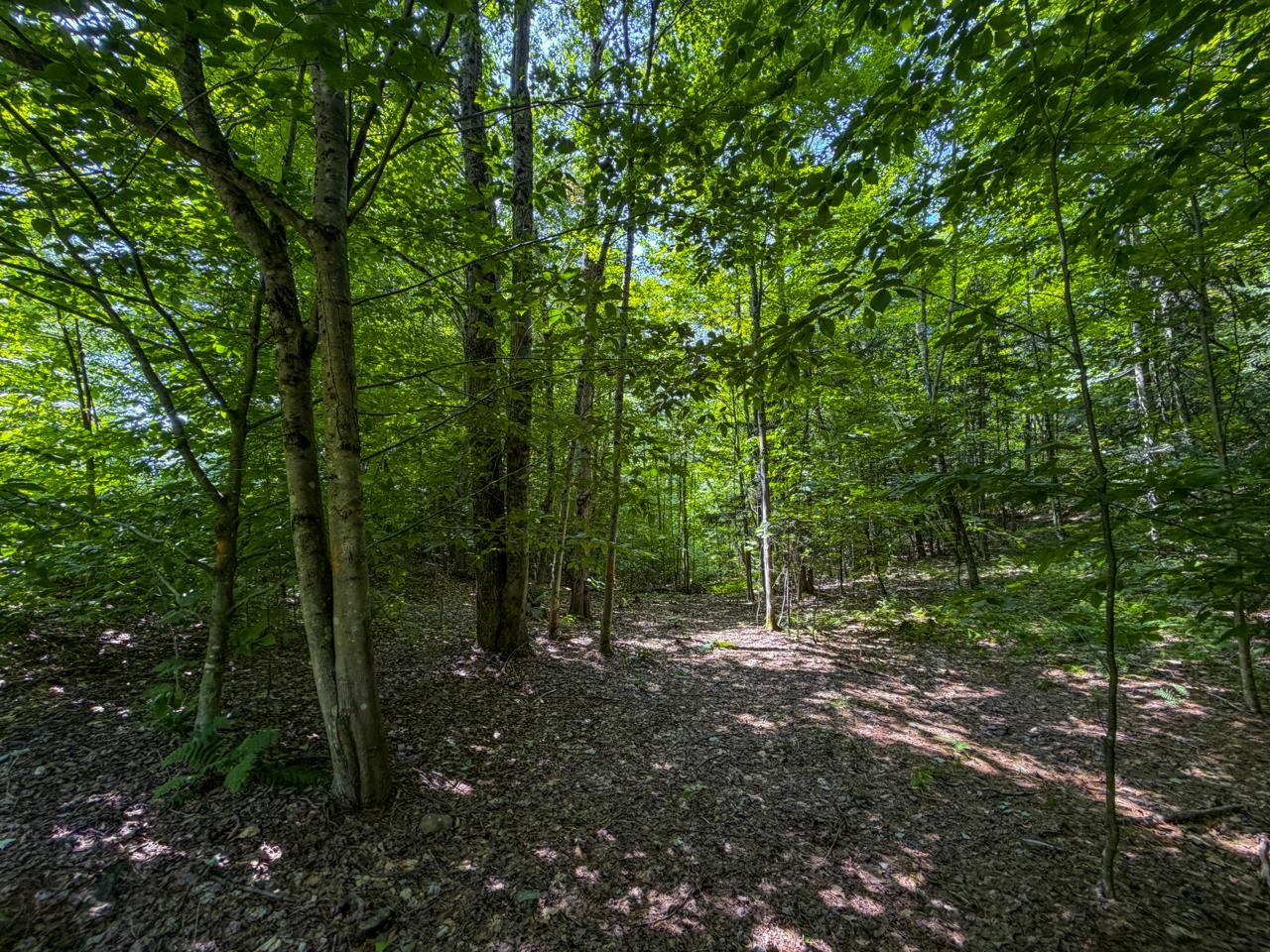 Tbd Taylor Road Property Photo 32