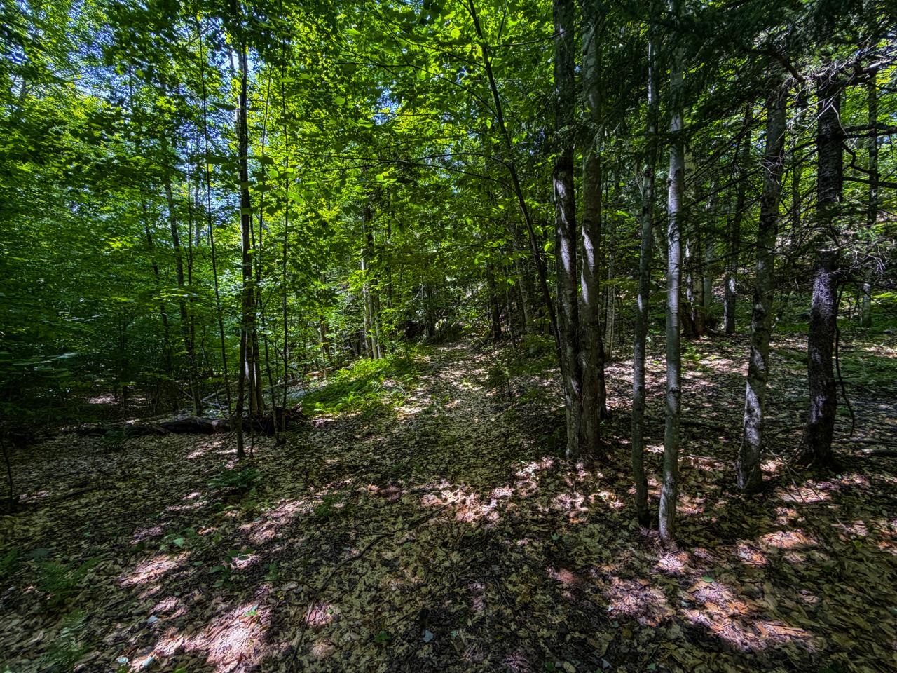 Tbd Taylor Road Property Photo 33
