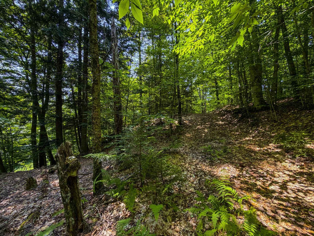 Tbd Taylor Road Property Photo 34