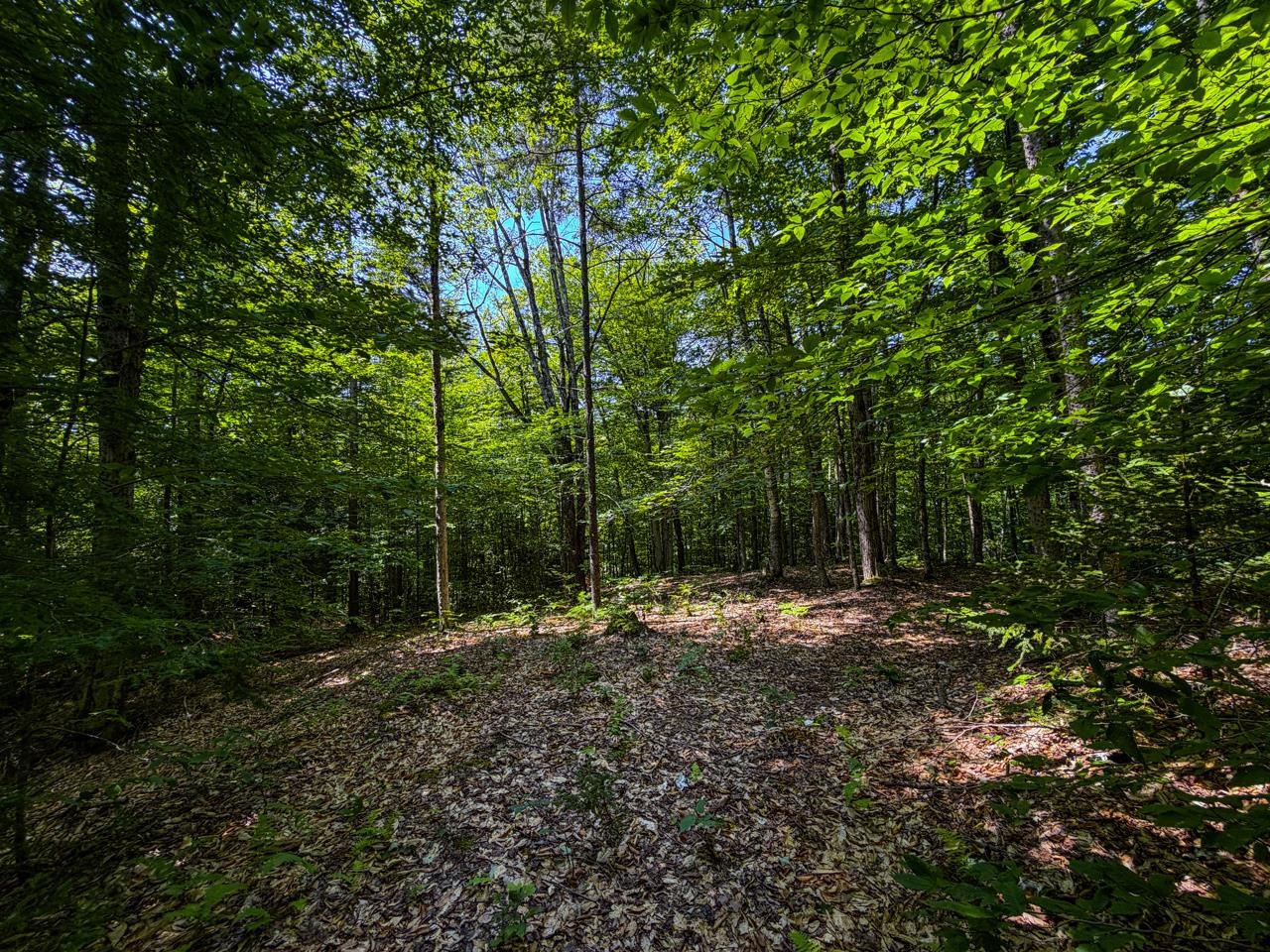 Tbd Taylor Road Property Photo 35