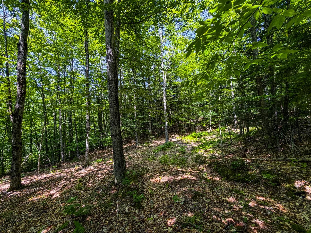 Tbd Taylor Road Property Photo 36