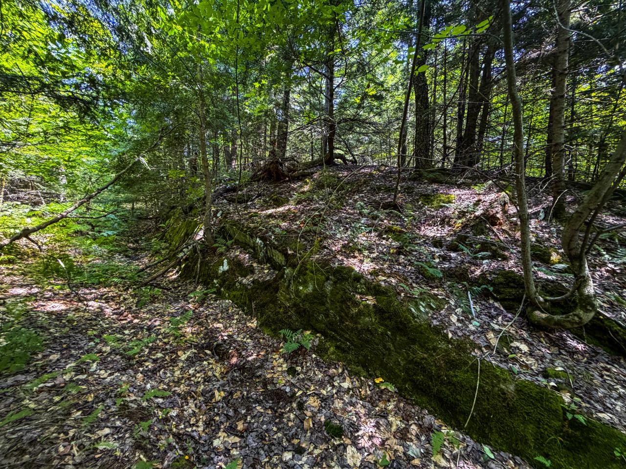 Tbd Taylor Road Property Photo 37
