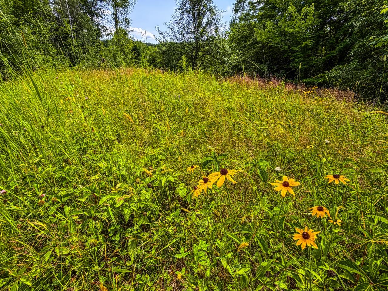 Tbd Wilder Road Property Photo 15
