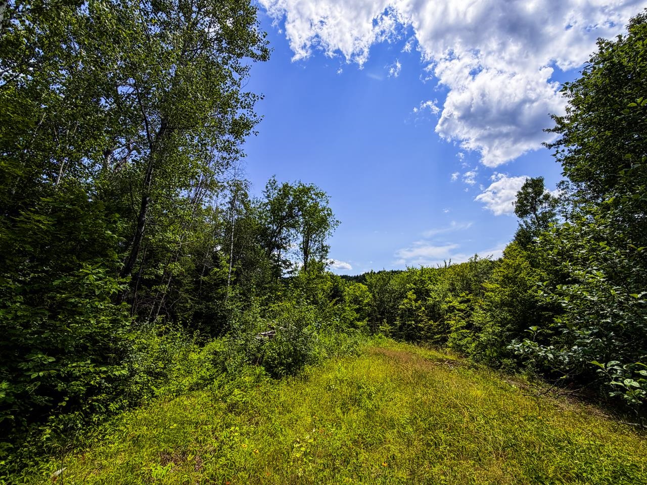 Tbd Wilder Road Property Photo 16