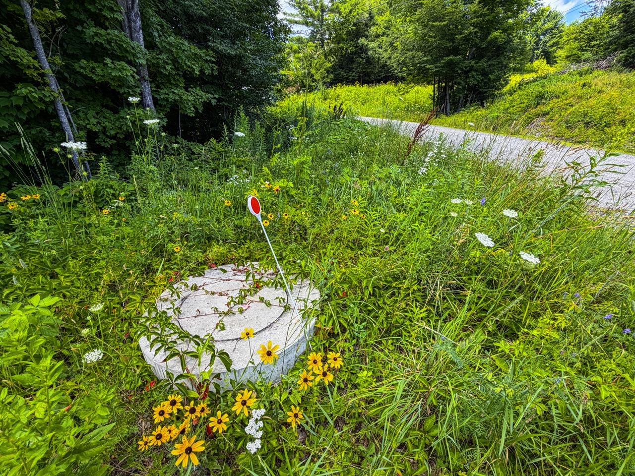 Tbd Wilder Road Property Photo 17