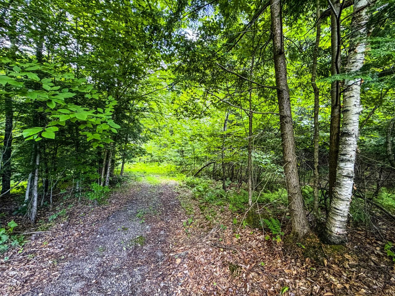 Tbd Wilder Road Property Photo 30