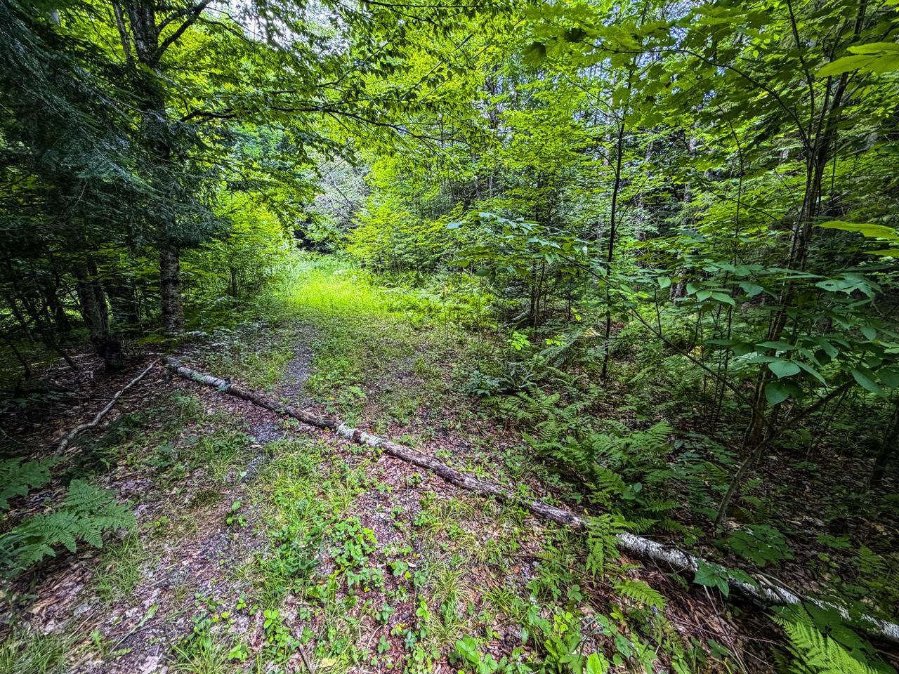 Tbd Wilder Road Property Photo 31