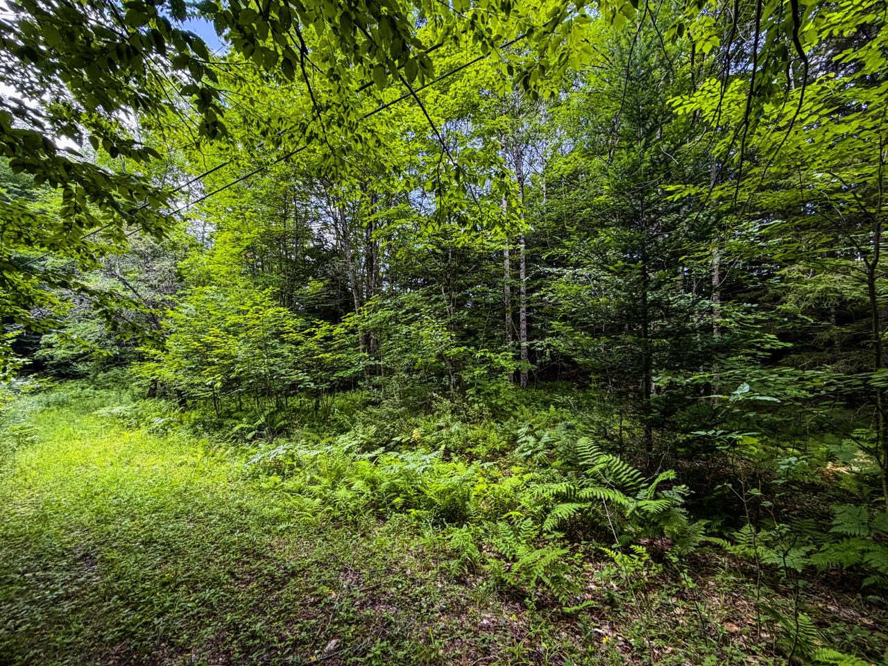 Tbd Wilder Road Property Photo 32