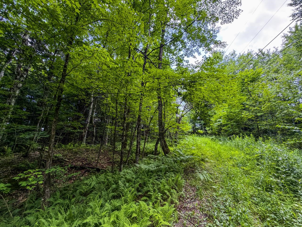 Tbd Wilder Road Property Photo 33