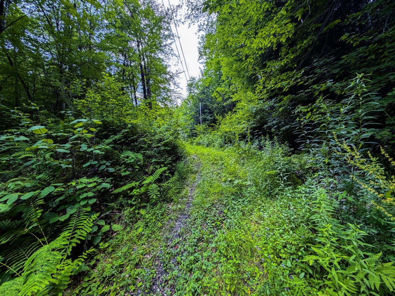 Tbd Wilder Road Property Photo 34