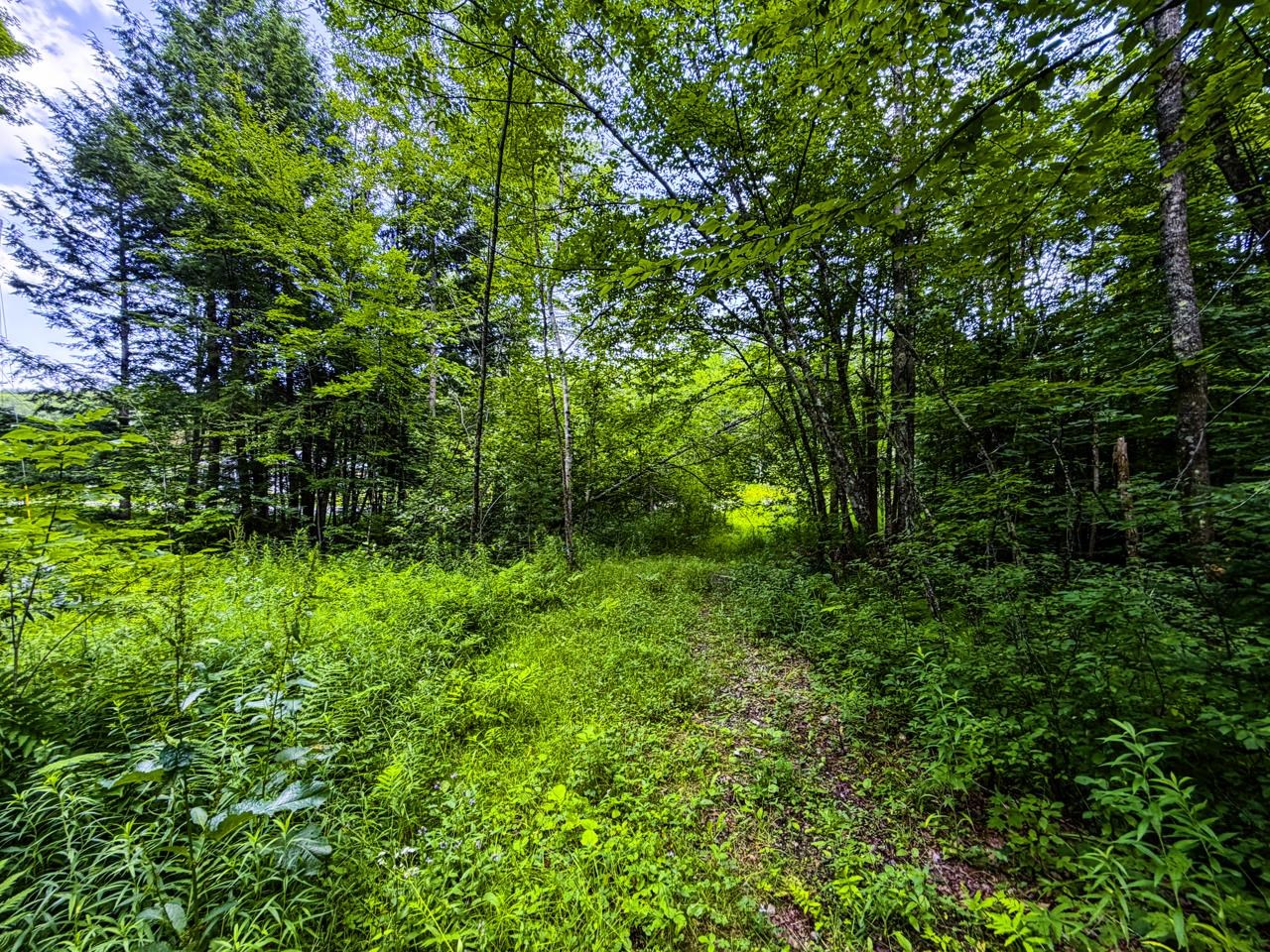 Tbd Wilder Road Property Photo 35