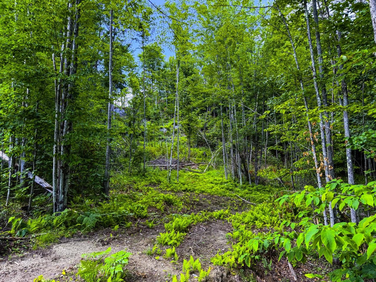 Tbd Wilder Road Property Photo 37
