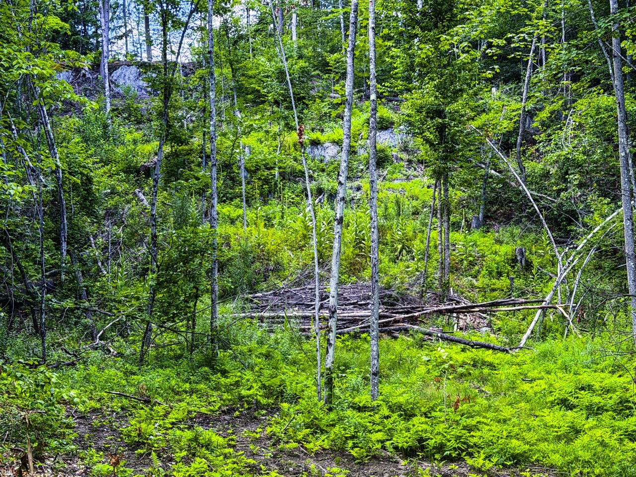 Tbd Wilder Road Property Photo 38