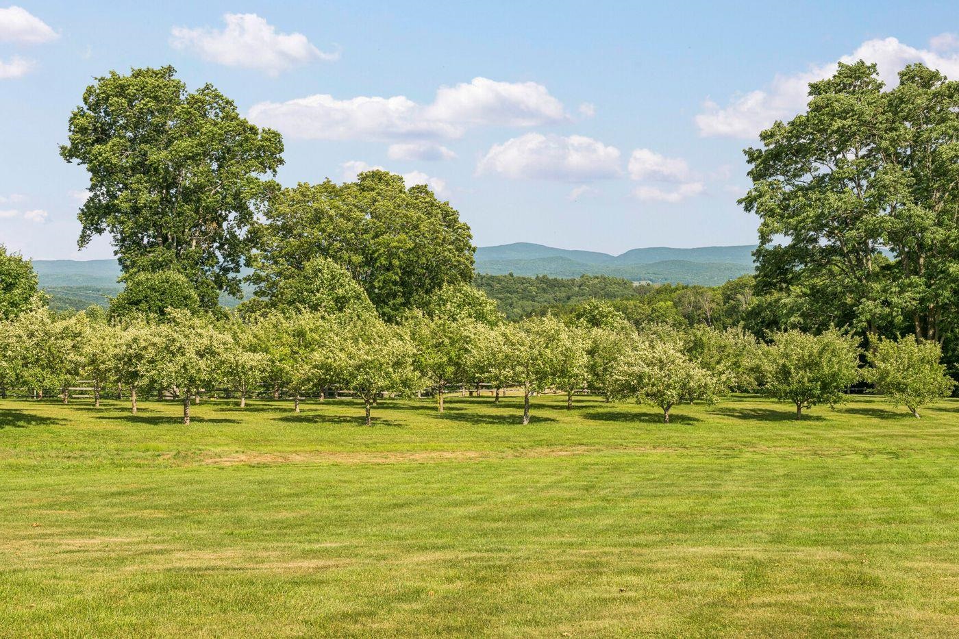83 Town Farm Hill Road Property Photo 43