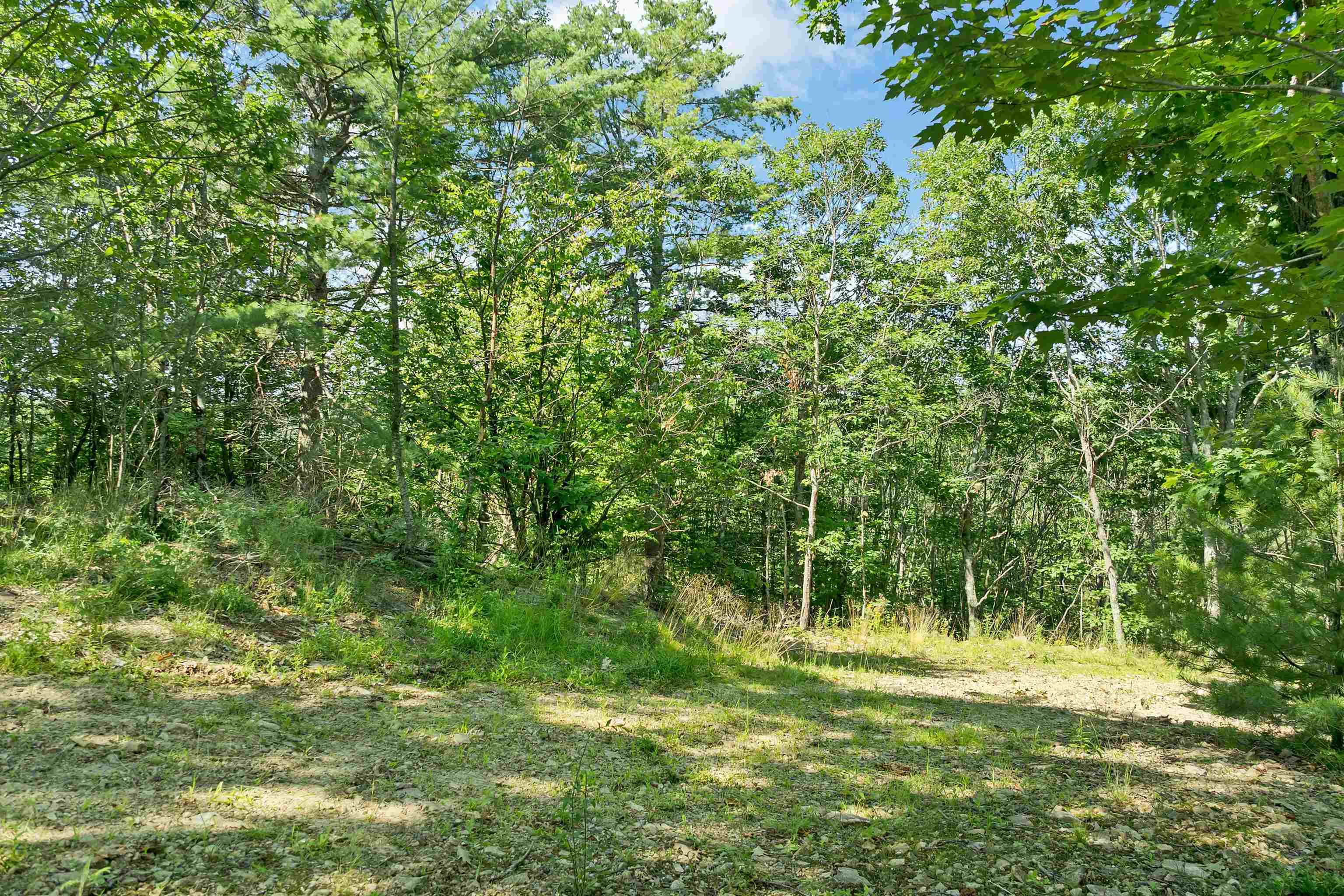 46 Marjories Walk Property Photo 6