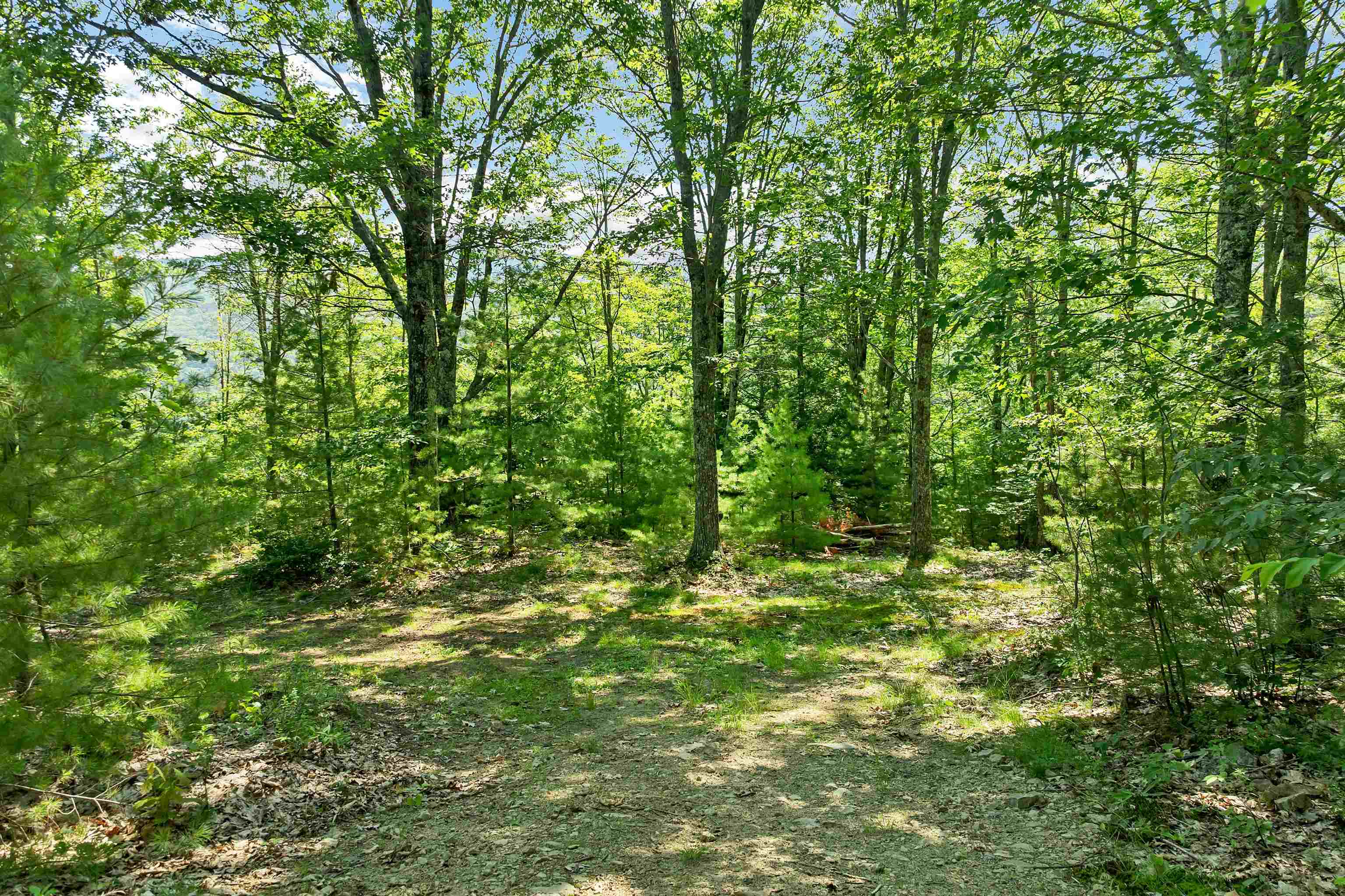46 Marjories Walk Property Photo 7