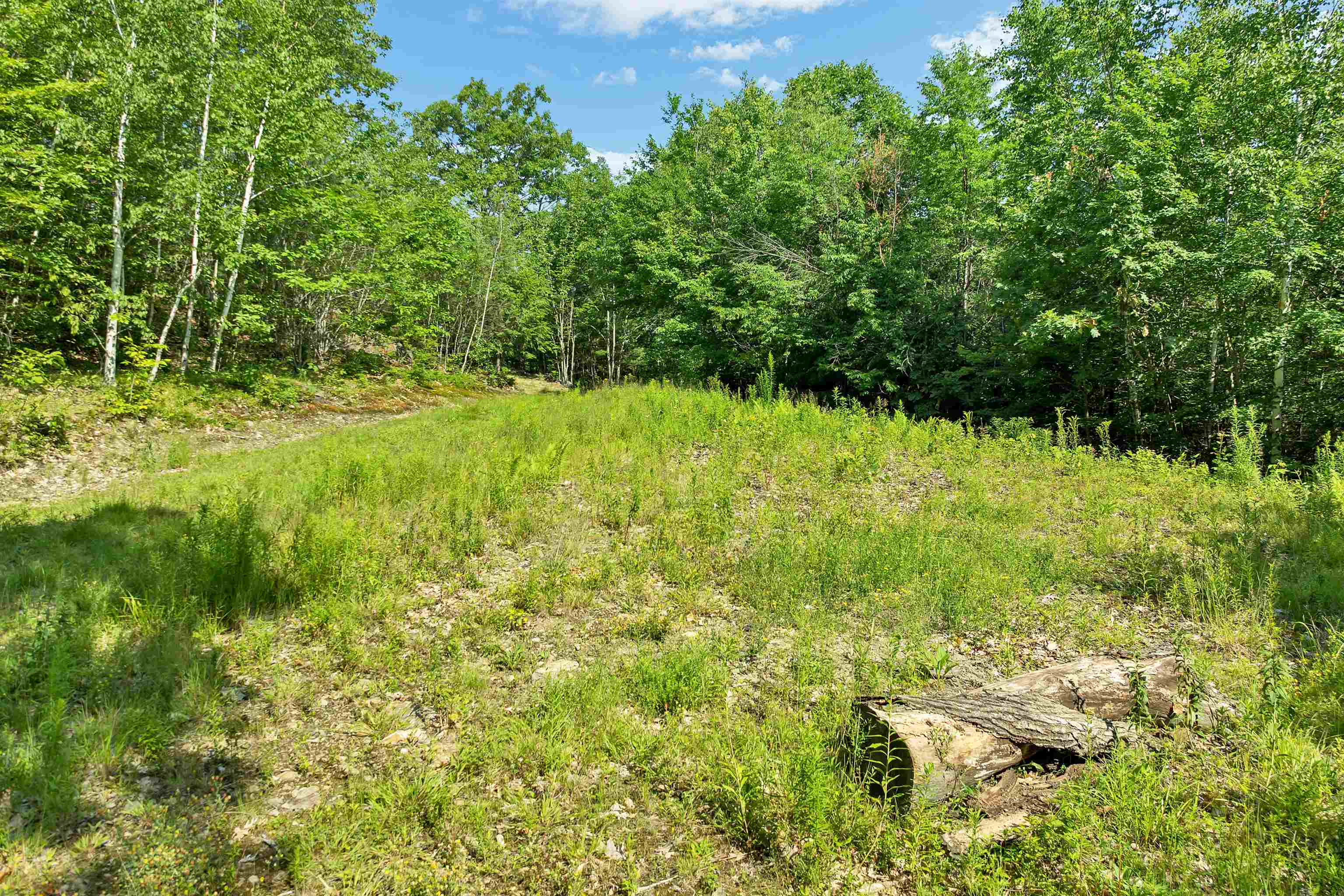46 Marjories Walk Property Photo 13
