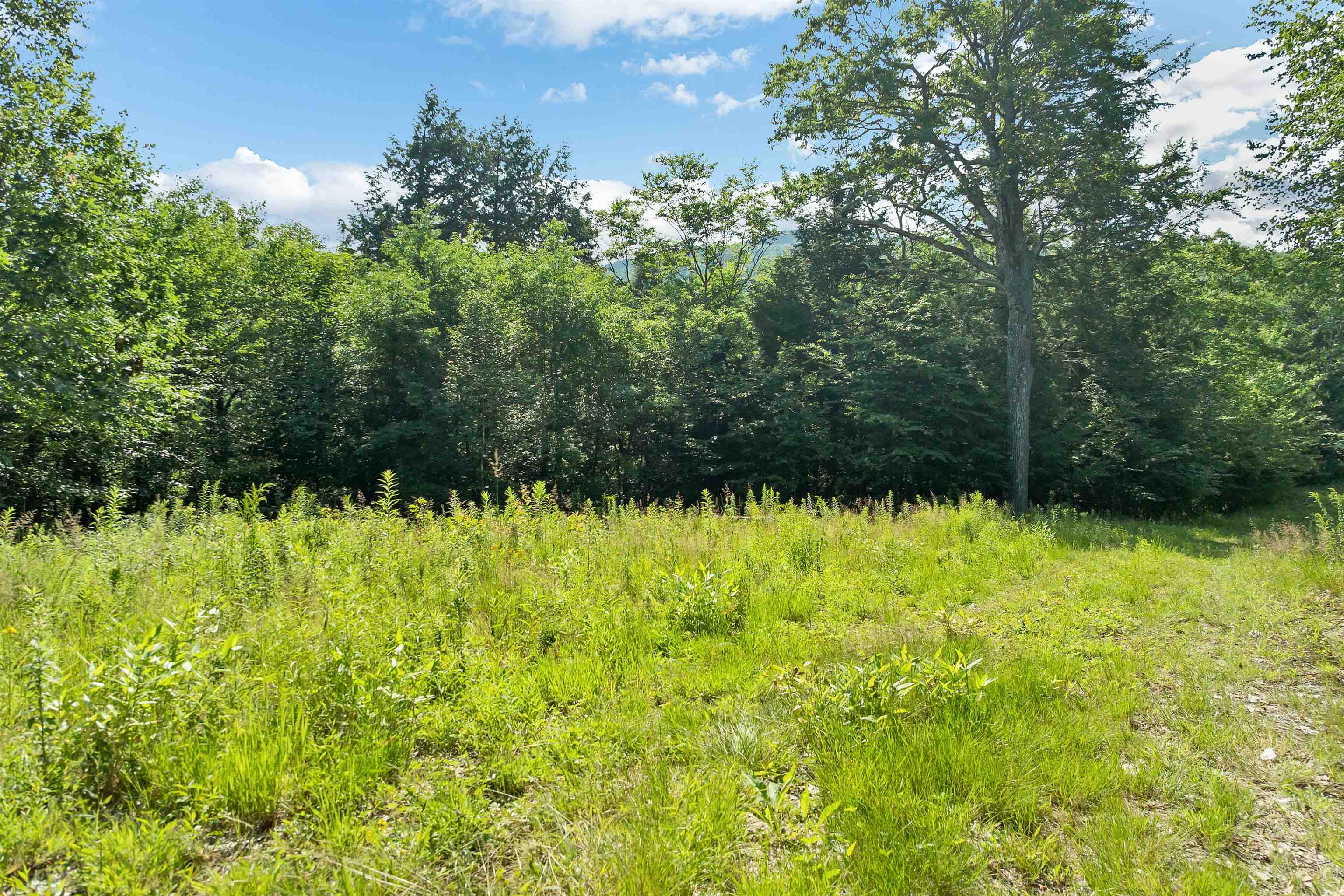 46 Marjories Walk Property Photo 14