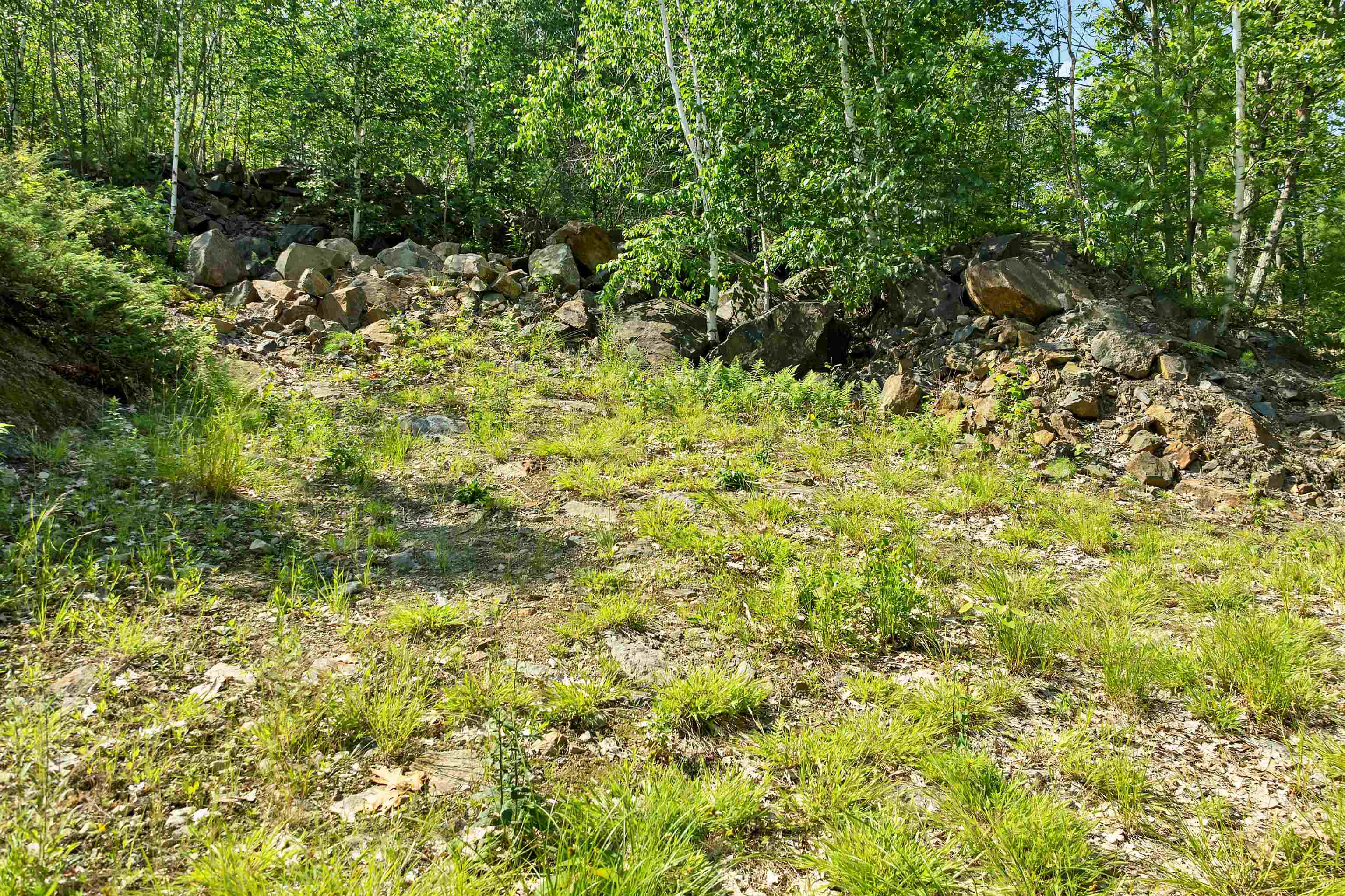 46 Marjories Walk Property Photo 15