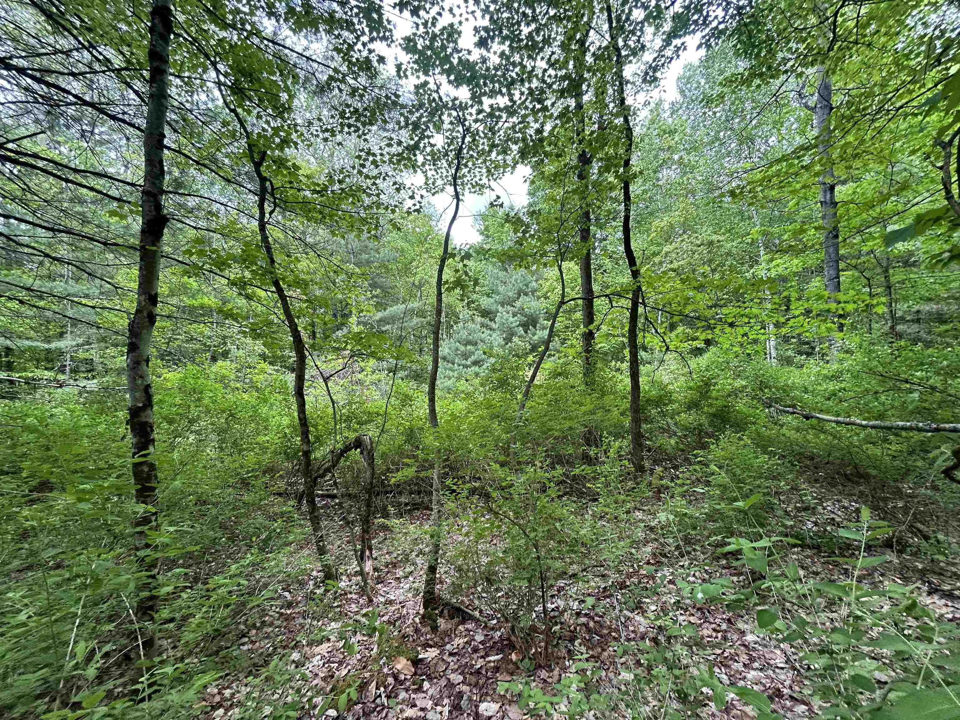 7 Sugar Hill Road Property Photo 13