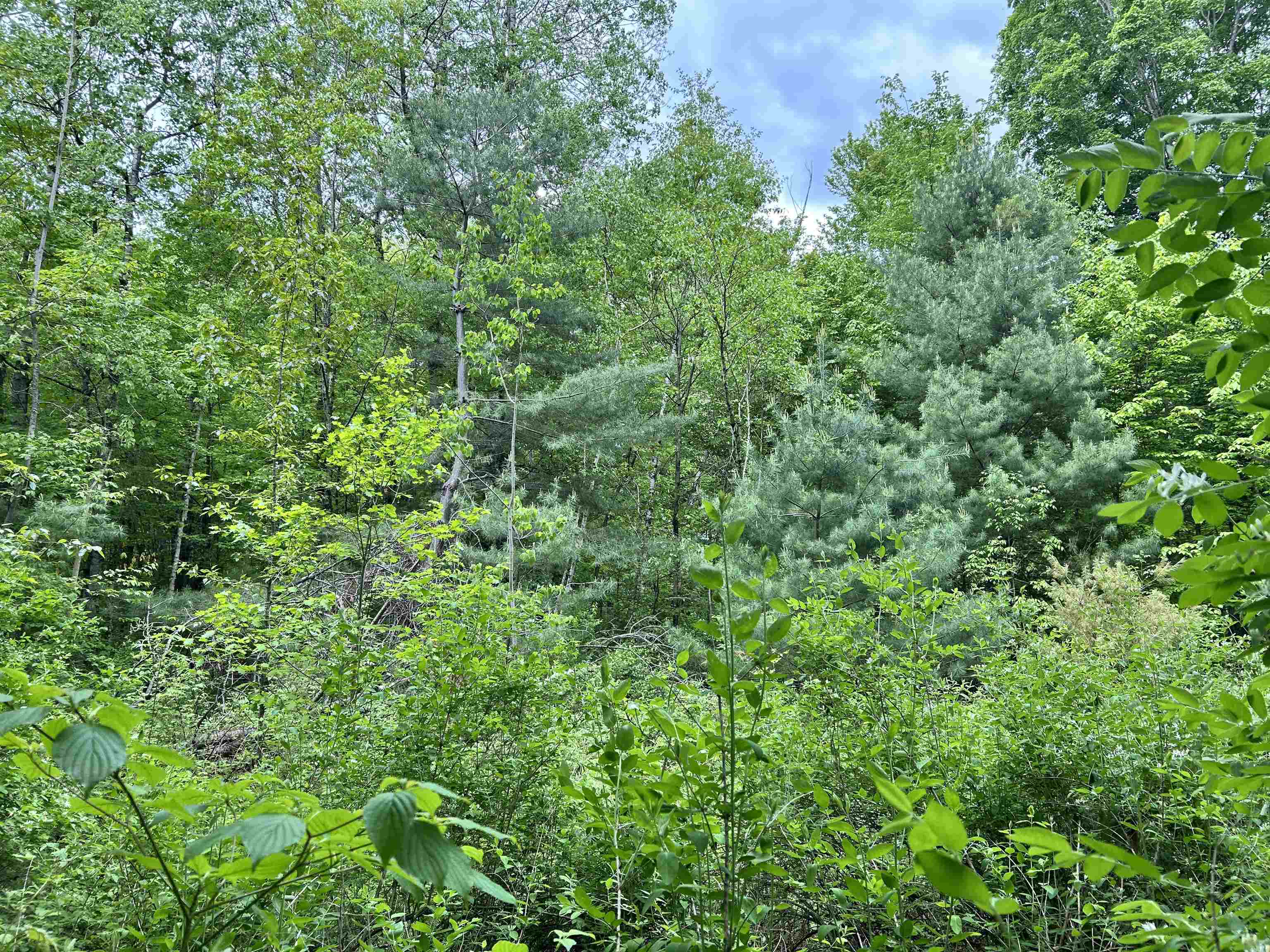 7 Sugar Hill Road Property Photo 14