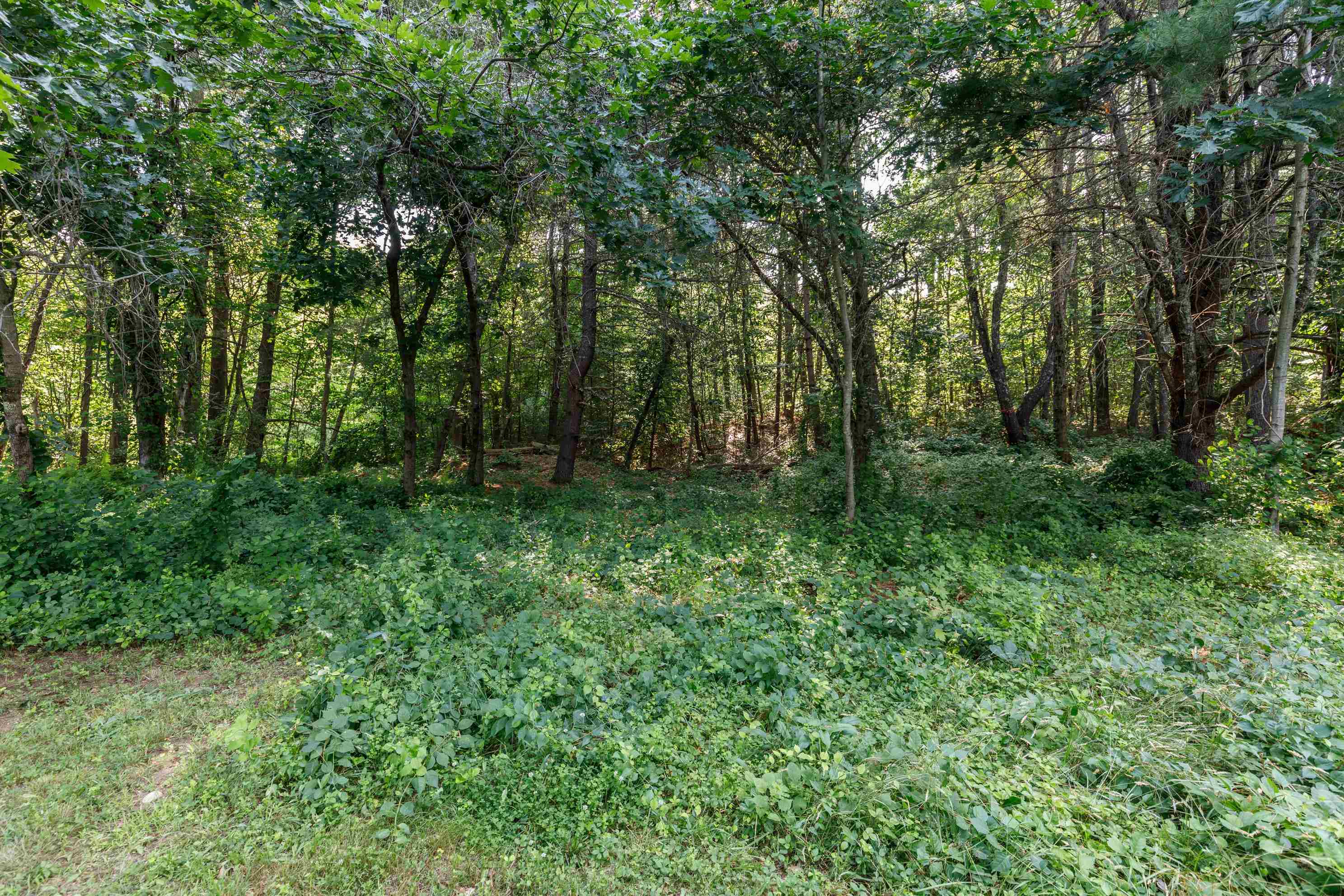 15 Tates Brook Road Property Photo 42