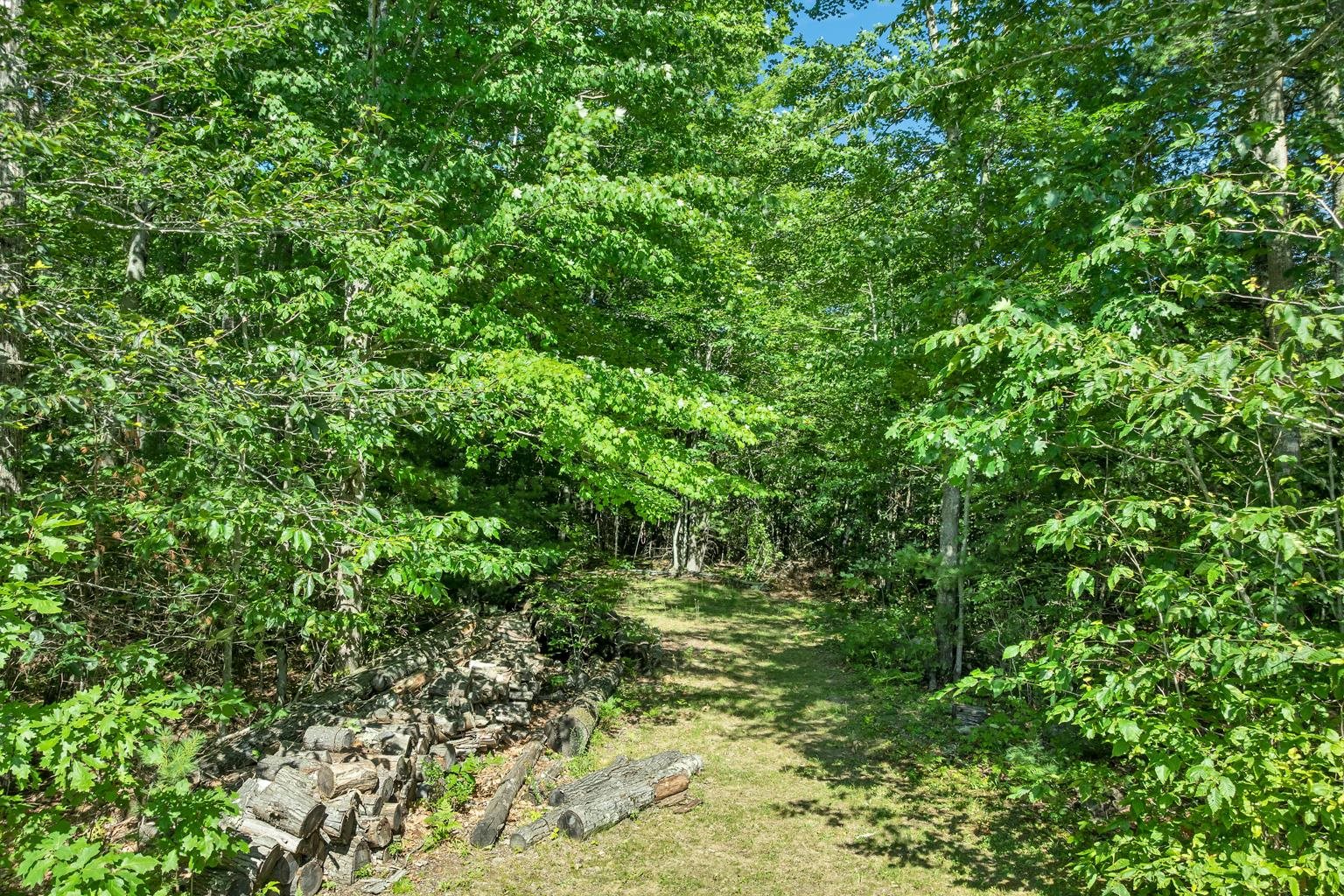 37 Cherub Drive Property Photo 25