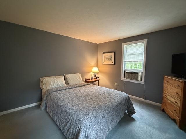 5 Mcenroe Drive Property Photo 20