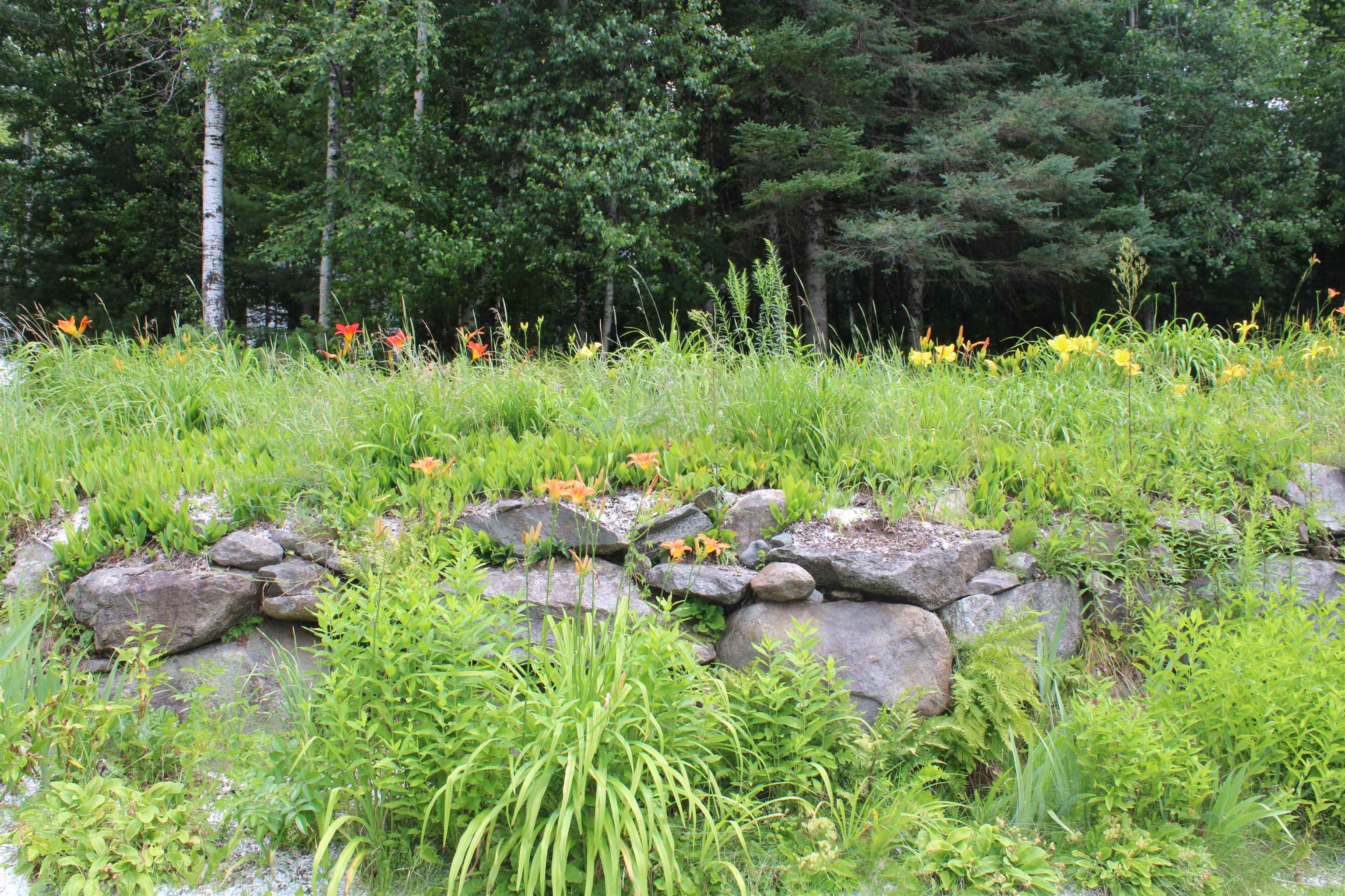 8 Holly Heights Property Photo 34