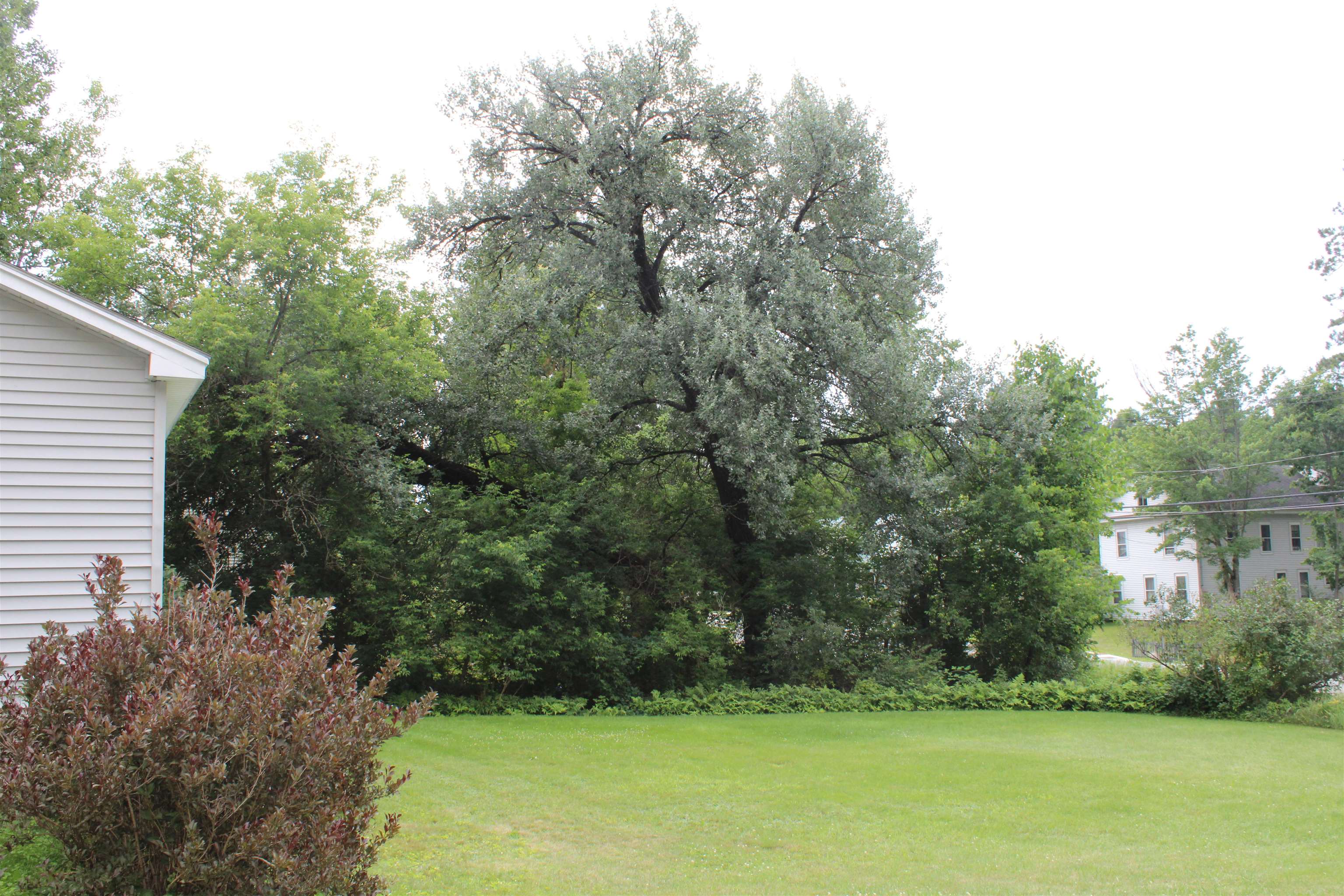 8 Holly Heights Property Photo 38