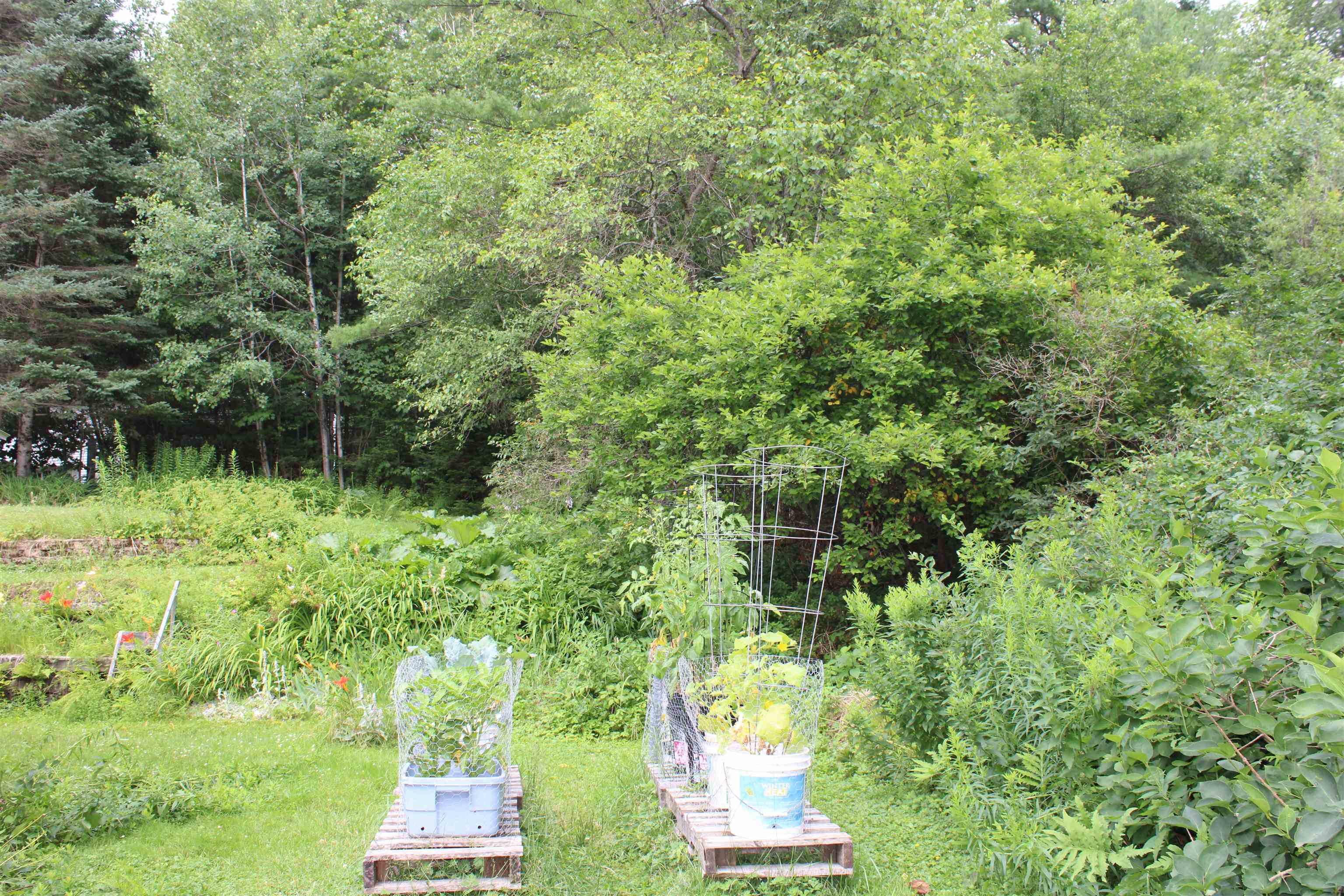 8 Holly Heights Property Photo 43