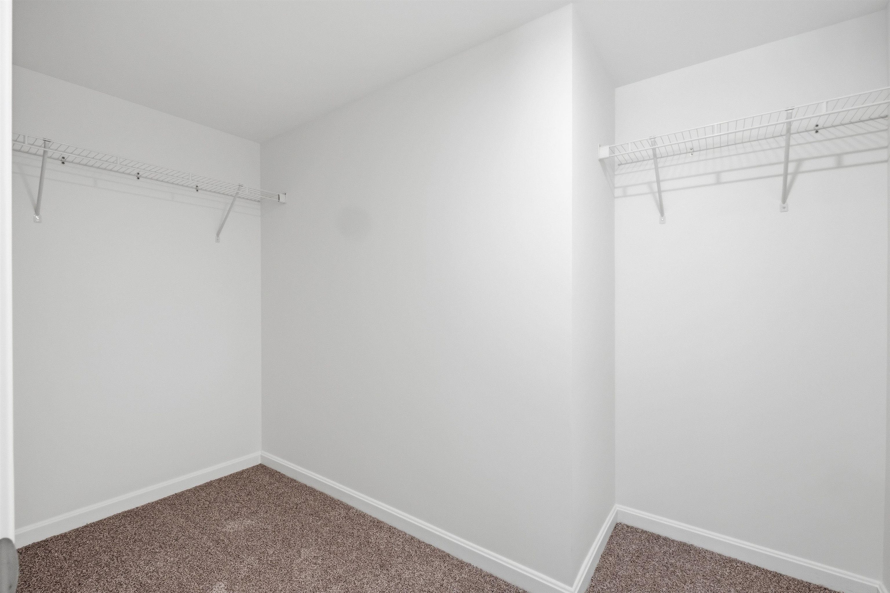 20 Twin Tip Terrace Property Photo 30