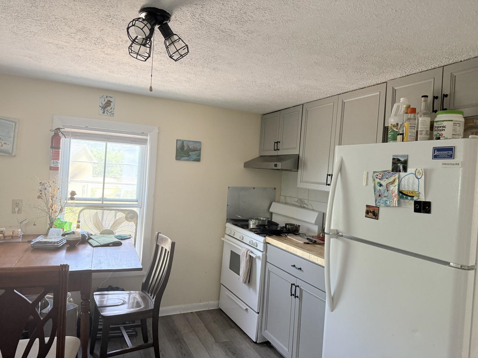 87 Spring Street Property Photo 4