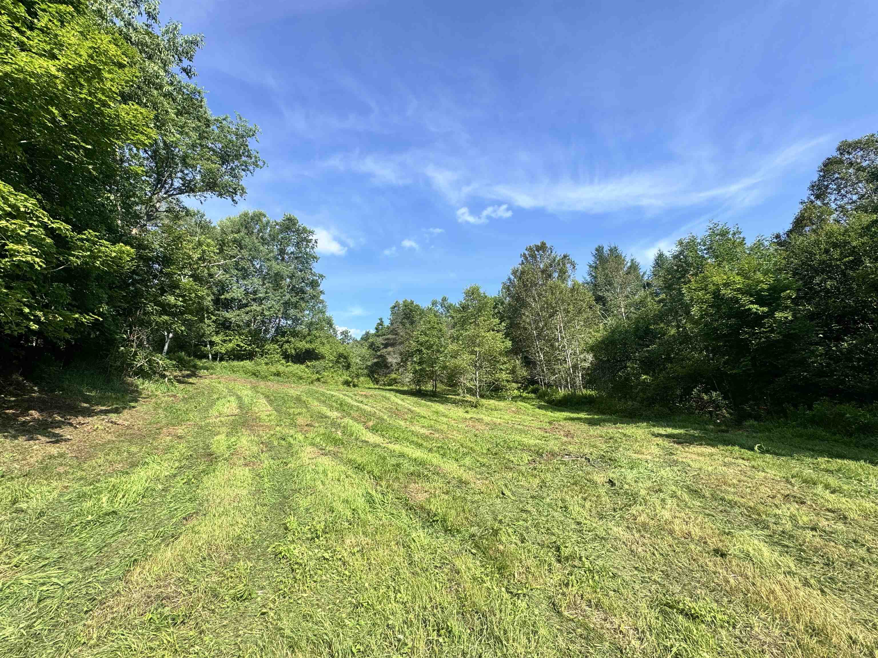 2574 Chelsea Road Property Photo 6