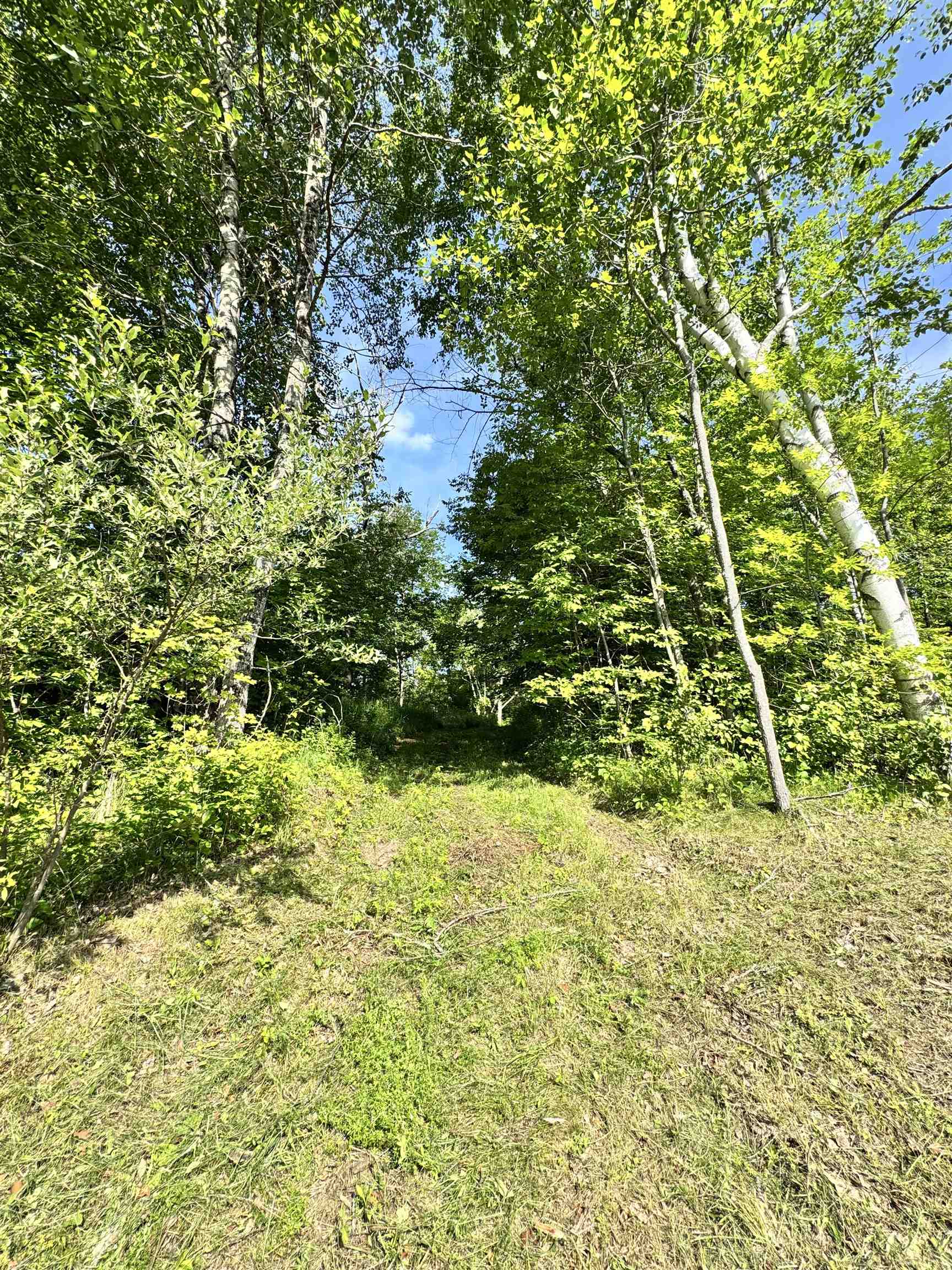2574 Chelsea Road Property Photo 8
