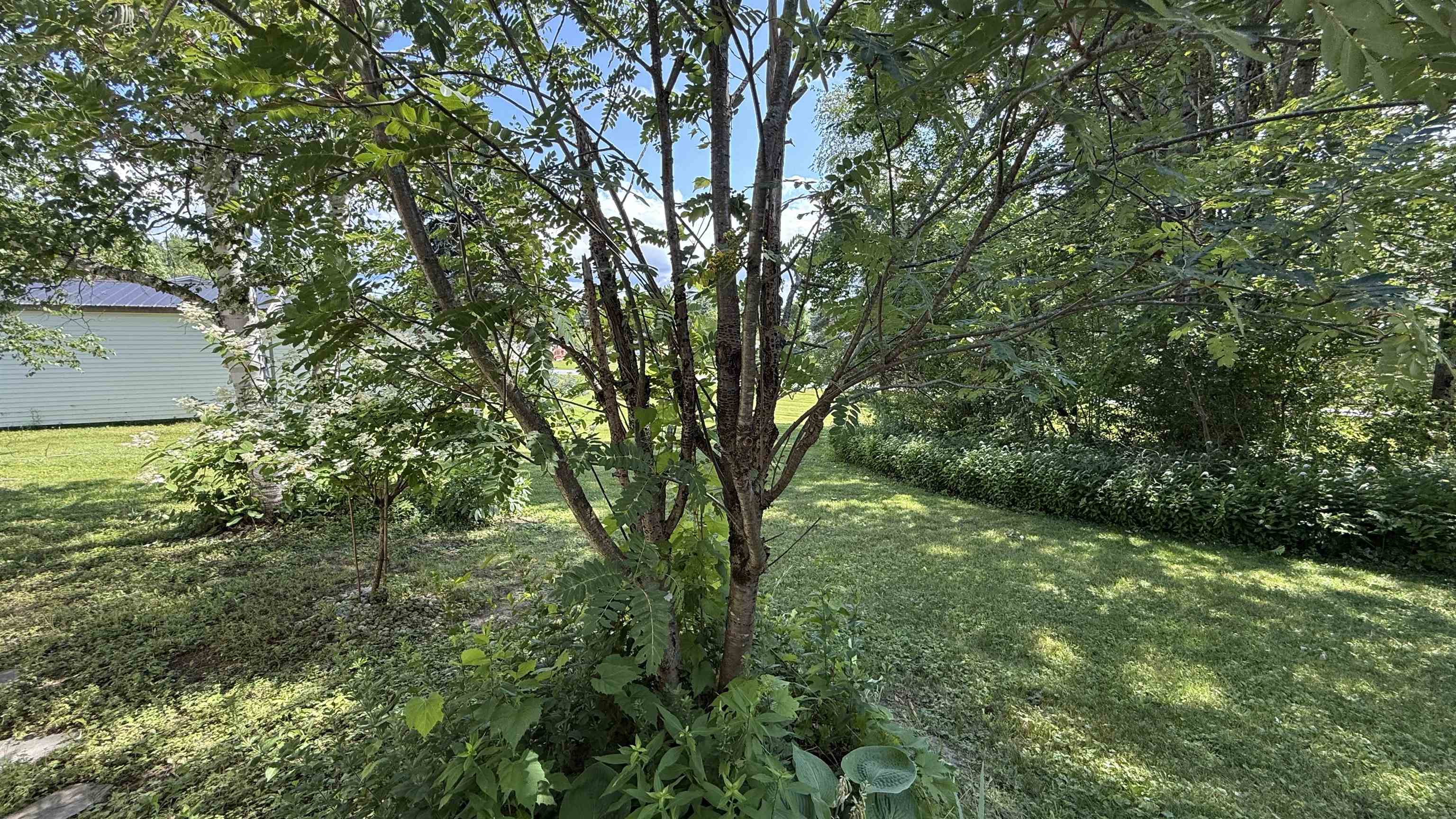 45 Oakwood Drive Property Photo 31