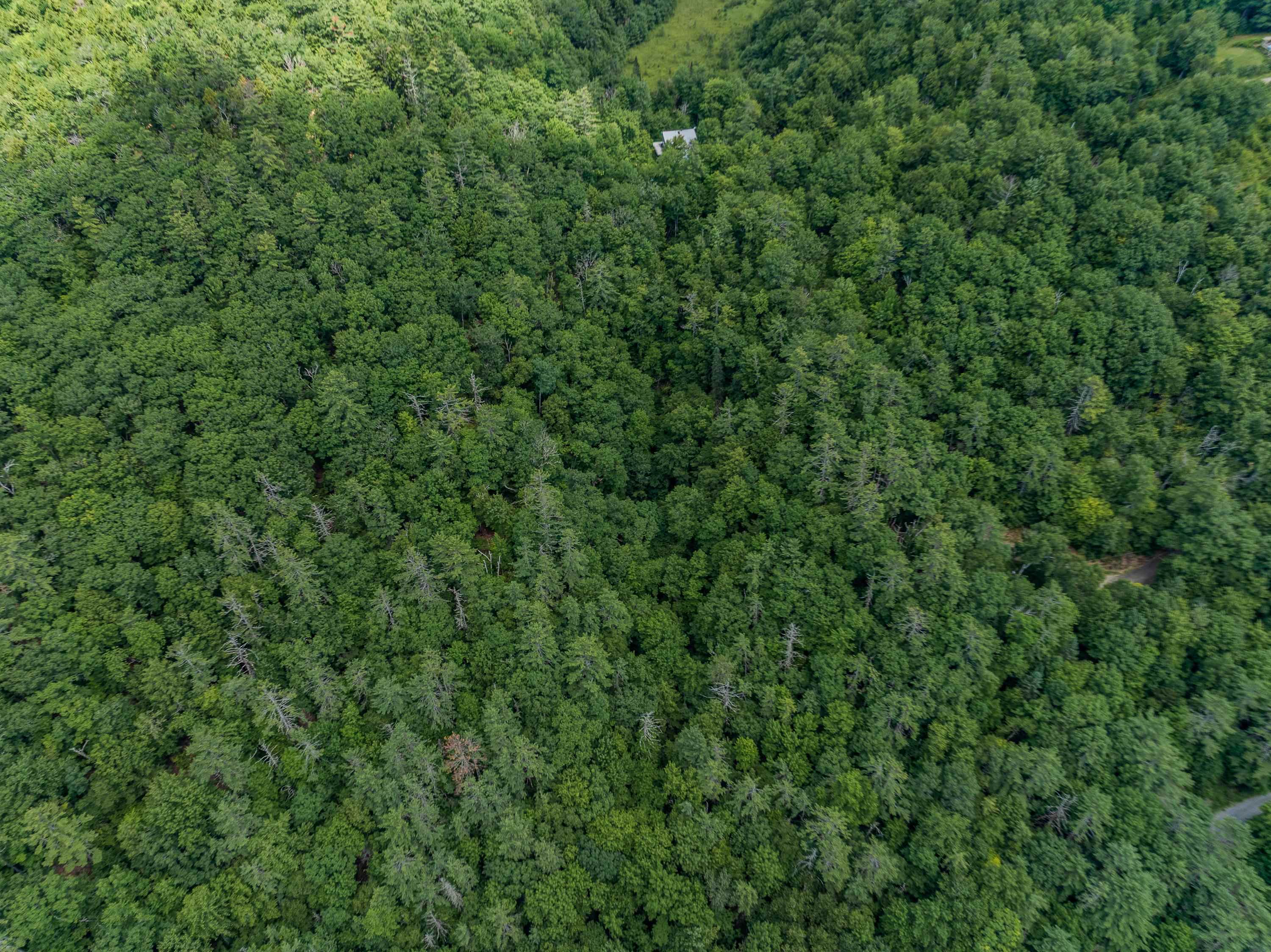 105 Beaver Pond Road Property Photo 47